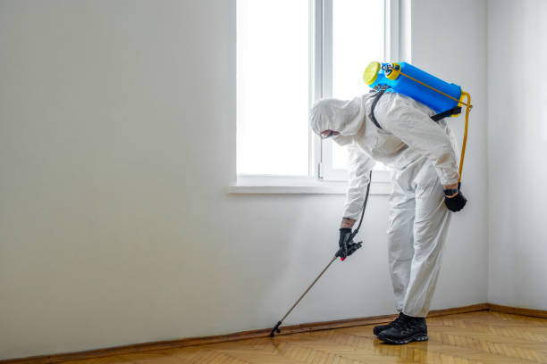 Best Pest Control for Warehouses  in Veneta, OR